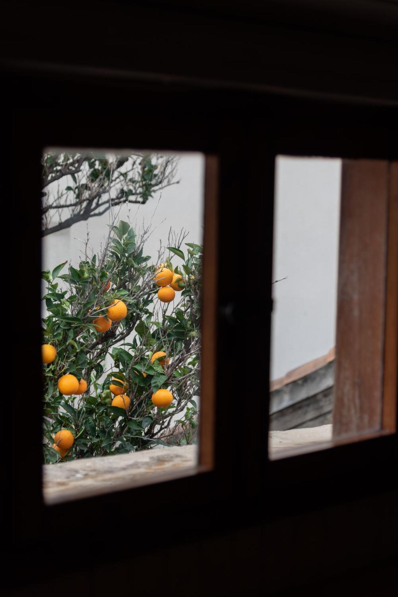 Best Located Duplex Apartment Dubrovnik Buitenkant foto